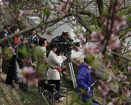 水岛那奈影视海报