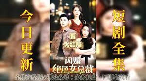 功夫王影视海报