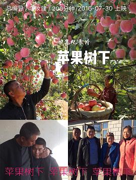 电视剧卫子夫影视海报