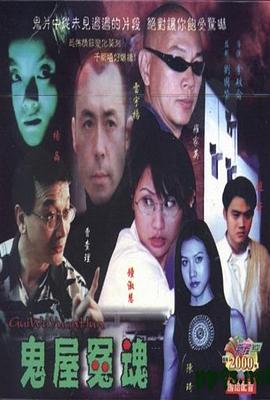 大长垣影视海报