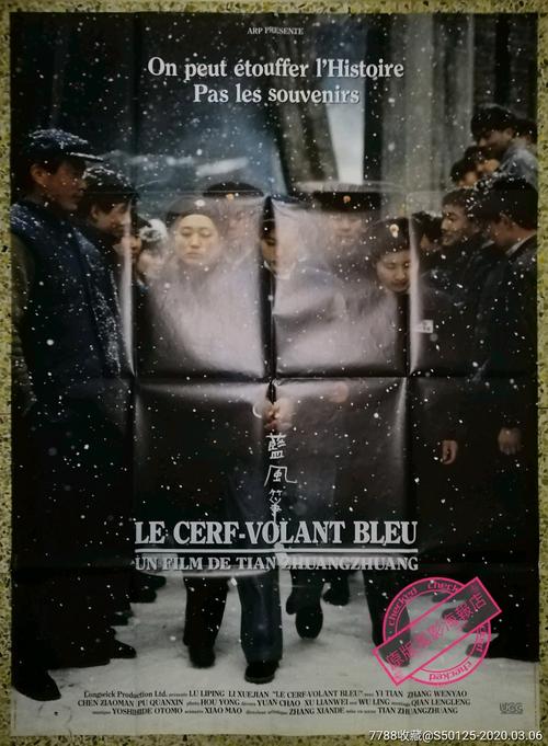 战狼2在线观看完整版免费影视海报