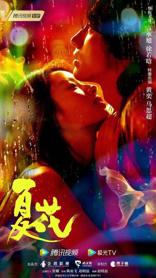 秘密搜查官种子影视海报