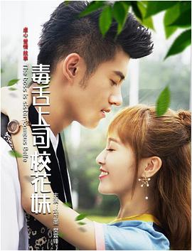 烟花易冷 电视剧影视海报