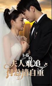 公认的标准帅哥脸型图影视海报