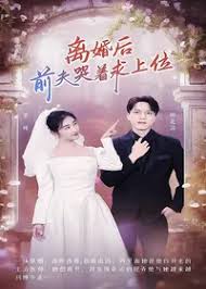 我爱男保姆电视剧影视海报