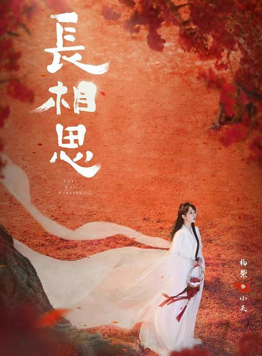 图书馆的战争影视海报