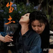 强男诞生记完整视频影视海报