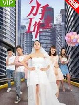 地下城寻求邂逅影视海报