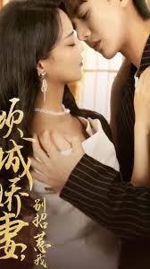 蓝忘机魏无羡倒立h影视海报