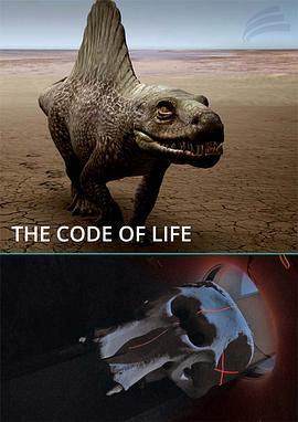 一场未尽的离婚盛宴影视海报