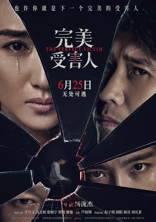 打雀英雄传粤语高清影视海报