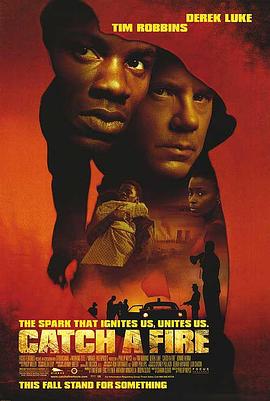 电视剧桐柏英雄影视海报