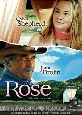 雄狮2在线观看影视海报