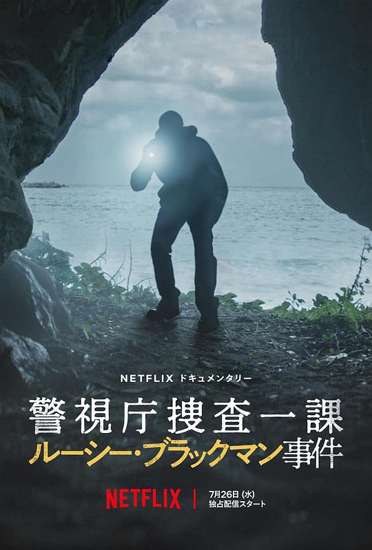 海贼王790影视海报