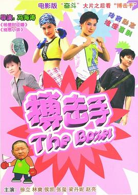 歌手2017百度云影视海报