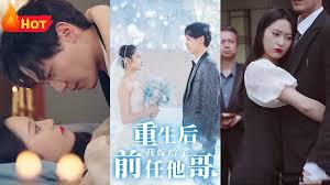 shemale japan tv影视海报