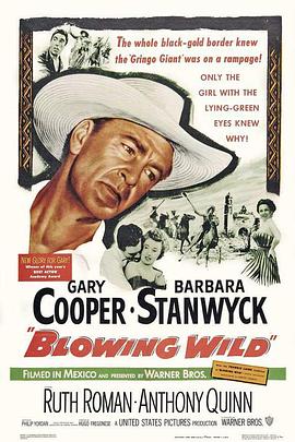 抗倭侠侣电视剧35集影视海报