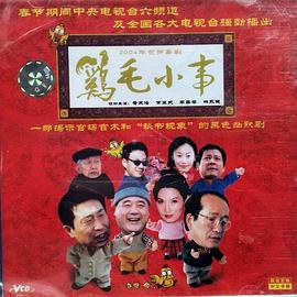 呆头呆脑电视剧影视海报