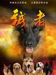 粤语版电影在线观看影视海报