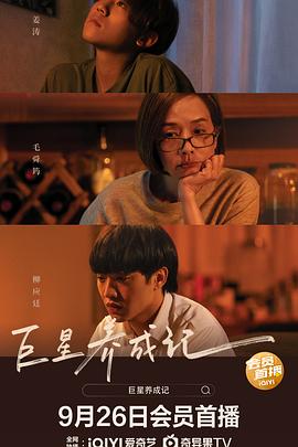 弥天大谎影视海报