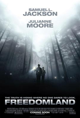 风流岛影视海报