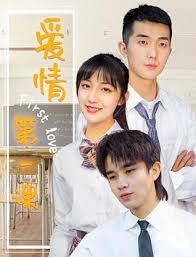 上错花轿嫁对郎沙溢影视海报