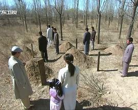 7272电影小花园影视海报