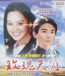 偶像手记影视海报