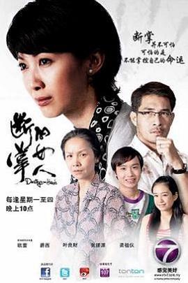 贾静雯电视剧全集影视海报