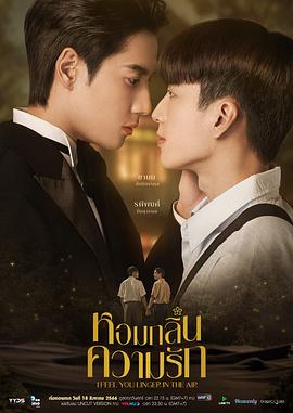 成s人综合视频影视海报