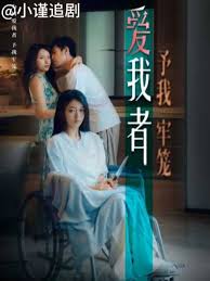 229tv少女免费视频影视海报