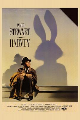 疯情书库小说在线阅读影视海报