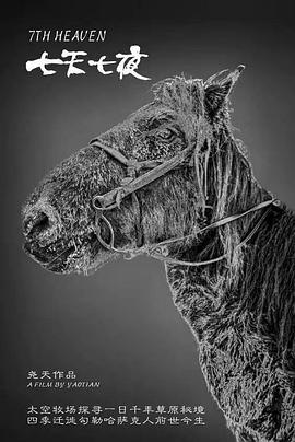 隐秘的诱惑在线观看影视海报