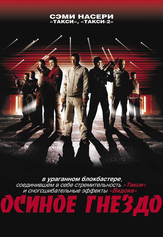 痴母迅雷手机在线观看影视海报