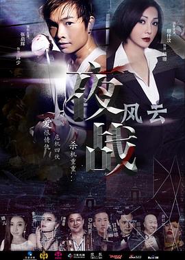 亮剑17集在线观看影视海报