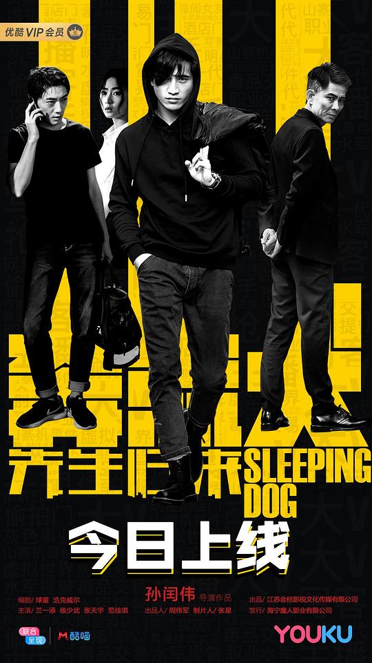 还珠格格2电视剧免费影视海报