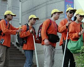 爱情全保影视海报