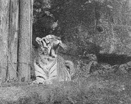 a511yc影城影视海报