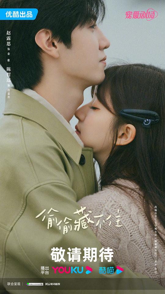 红楼之禛惜黛玉影视海报