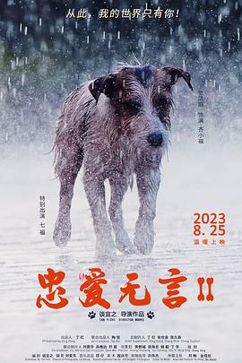 久久热最新地址获取影视海报