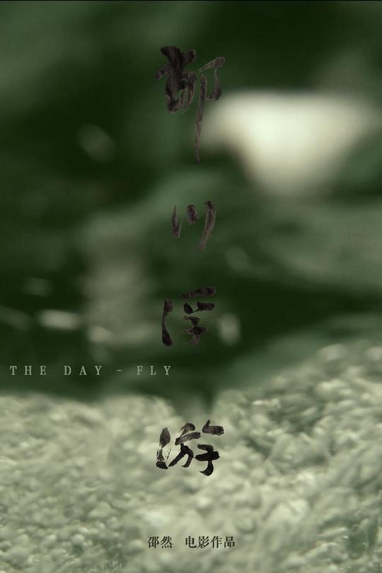 类似试一试影院的网站影视海报