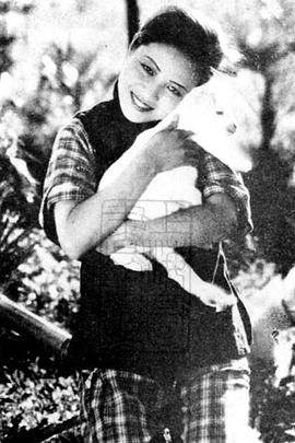 珍宝大战影视海报