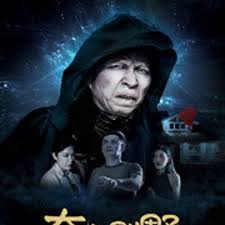 侠女十三妹影视海报