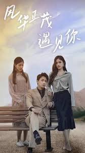 大染坊影视海报