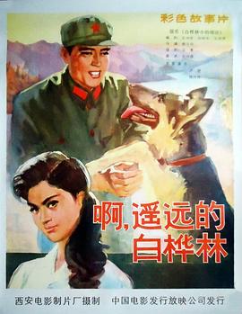 乱换合集影视海报