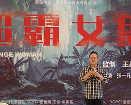 天敌电视剧影视海报