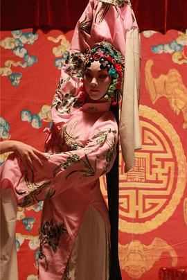 驾校情缘小说全文完整版影视海报