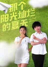 敌后武工队电视剧影视海报