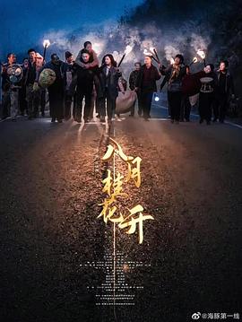 蛋糕烟花影视海报