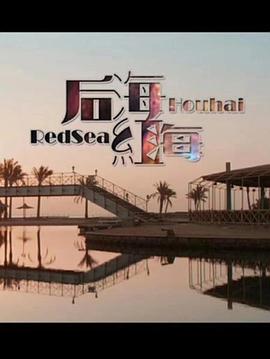 奇门遁甲电影在线放影视海报
